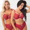 Gorsenia Figi brazyliany Flavia 008 rude
